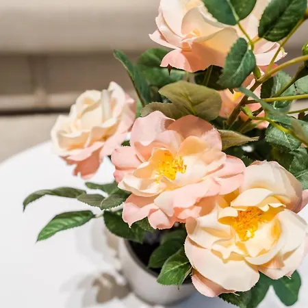 Bpr Toffee Design With A/c Daire Budapeşte